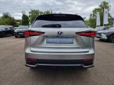 Lexus NX bei Reisemobile.expert - Abbildung (4 / 15)