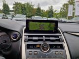 Lexus NX bei Reisemobile.expert - Abbildung (14 / 15)