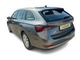 Skoda Octavia bei Reisemobile.expert - Abbildung (4 / 15)