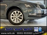 Skoda Octavia bei Reisemobile.expert - Abbildung (2 / 15)