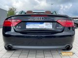 Audi A5 Cabriolet bei Reisemobile.expert - Abbildung (14 / 15)