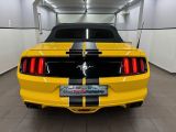 Ford Mustang bei Reisemobile.expert - Abbildung (8 / 15)