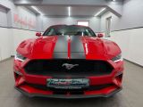Ford Mustang bei Reisemobile.expert - Abbildung (3 / 15) Ford Mustang bei Reisemobile.expert - Abbildung (3 / 15)