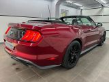 Ford Mustang bei Reisemobile.expert - Abbildung (14 / 15)