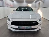Ford Mustang bei Reisemobile.expert - Abbildung (5 / 15)