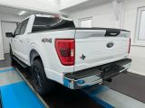 Ford F bei Reisemobile.expert - Abbildung (5 / 15)