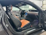 Ford Mustang bei Reisemobile.expert - Abbildung (13 / 15)