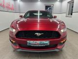 Ford Mustang bei Reisemobile.expert - Abbildung (5 / 15)