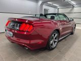Ford Mustang bei Reisemobile.expert - Abbildung (12 / 15)