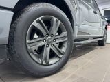Ford F bei Reisemobile.expert - Abbildung (11 / 15)
