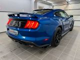 Ford Mustang bei Reisemobile.expert - Abbildung (5 / 15)