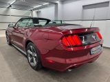 Ford Mustang bei Reisemobile.expert - Abbildung (11 / 15)