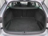 Skoda Octavia bei Reisemobile.expert - Abbildung (10 / 15)