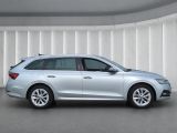Skoda Octavia bei Reisemobile.expert - Abbildung (3 / 15)