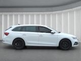 Skoda Octavia bei Reisemobile.expert - Abbildung (3 / 15)