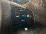Ford Ka bei Reisemobile.expert - Abbildung (13 / 14)