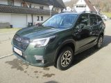 Subaru Forester bei Reisemobile.expert - Abbildung (2 / 7)