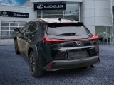 Lexus UX bei Reisemobile.expert - Abbildung (3 / 15)