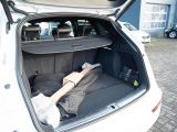 Audi SQ5 bei Reisemobile.expert - Abbildung (4 / 15)