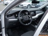 Skoda Octavia bei Reisemobile.expert - Abbildung (10 / 15)