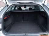 Skoda Octavia bei Reisemobile.expert - Abbildung (4 / 15)