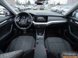 Skoda Octavia bei Reisemobile.expert - Abbildung (5 / 15)