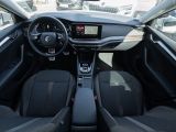 Skoda Octavia bei Reisemobile.expert - Abbildung (5 / 15)