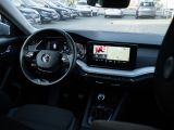 Skoda Octavia bei Reisemobile.expert - Abbildung (6 / 15)