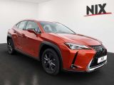 Lexus UX bei Reisemobile.expert - Abbildung (2 / 15)