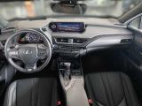 Lexus UX bei Reisemobile.expert - Abbildung (14 / 15)