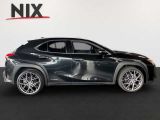 Lexus UX bei Reisemobile.expert - Abbildung (3 / 15)