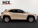 Lexus UX bei Reisemobile.expert - Abbildung (3 / 15)