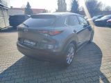 Mazda CX-30 bei Reisemobile.expert - Abbildung (5 / 15)