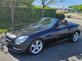 Mercedes-Benz SLK-Klasse bei Reisemobile.expert - Abbildung (2 / 15)