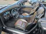 Mercedes-Benz SLK-Klasse bei Reisemobile.expert - Abbildung (7 / 15)