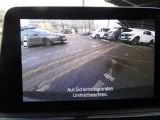 Ford Kuga bei Reisemobile.expert - Abbildung (11 / 13)