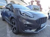 Ford Puma bei Reisemobile.expert - Abbildung (2 / 12)