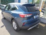 Ford Kuga bei Reisemobile.expert - Abbildung (2 / 15)