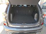 Ford Kuga bei Reisemobile.expert - Abbildung (14 / 15) Ford Kuga bei Reisemobile.expert - Abbildung (14 / 15)