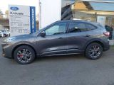 Ford Kuga bei Reisemobile.expert - Abbildung (3 / 15)