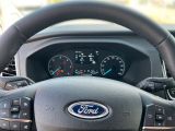 Ford Nugget bei Reisemobile.expert - Abbildung (10 / 15)