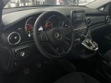 Mercedes-Benz V-Klasse bei Reisemobile.expert - Abbildung (13 / 15)