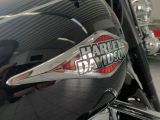 Harley-Davidson Softail bei Reisemobile.expert - Abbildung (4 / 12)