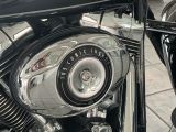 Harley-Davidson Softail bei Reisemobile.expert - Abbildung (5 / 12)