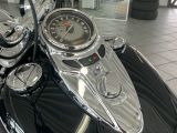 Harley-Davidson Softail bei Reisemobile.expert - Abbildung (8 / 12)
