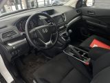 Honda CR-V bei Reisemobile.expert - Abbildung (11 / 15)
