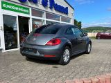 VW New Beetle bei Reisemobile.expert - Abbildung (4 / 15)