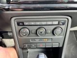 VW New Beetle bei Reisemobile.expert - Abbildung (13 / 15)