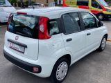 Fiat Panda bei Reisemobile.expert - Abbildung (3 / 15)