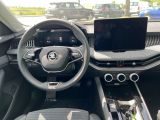 Skoda Superb bei Reisemobile.expert - Abbildung (15 / 15)